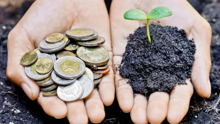 Sabe a diferença entre “Shareholder” e “Stakeholder”?