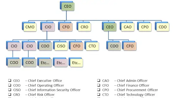 Organigrama que inclui o CEO no topo e os outros executivos ou diretores.