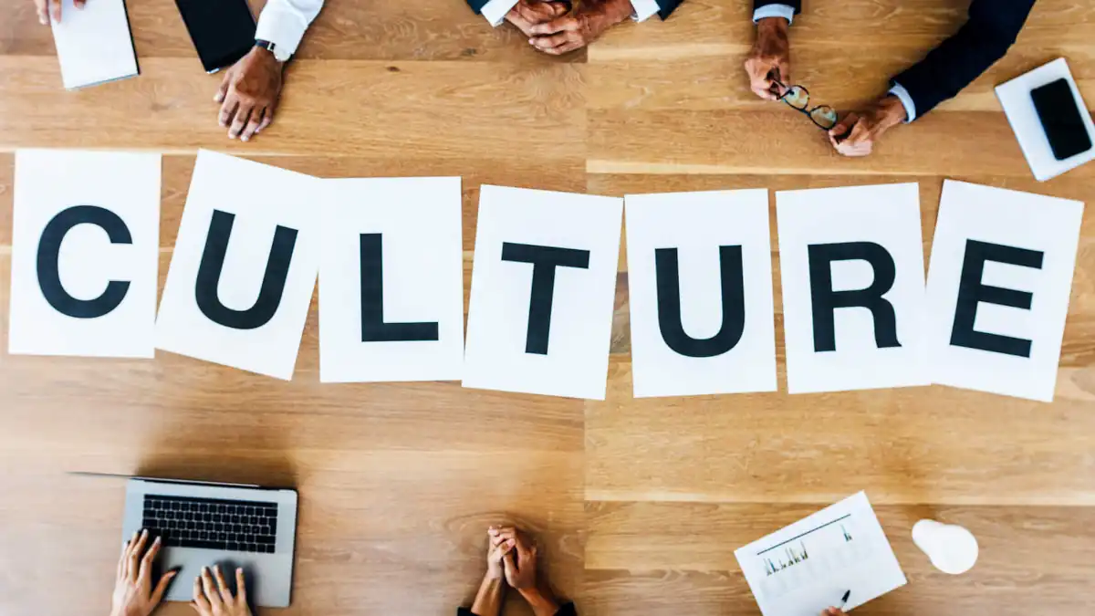 O que é a Cultura da Empresa?
