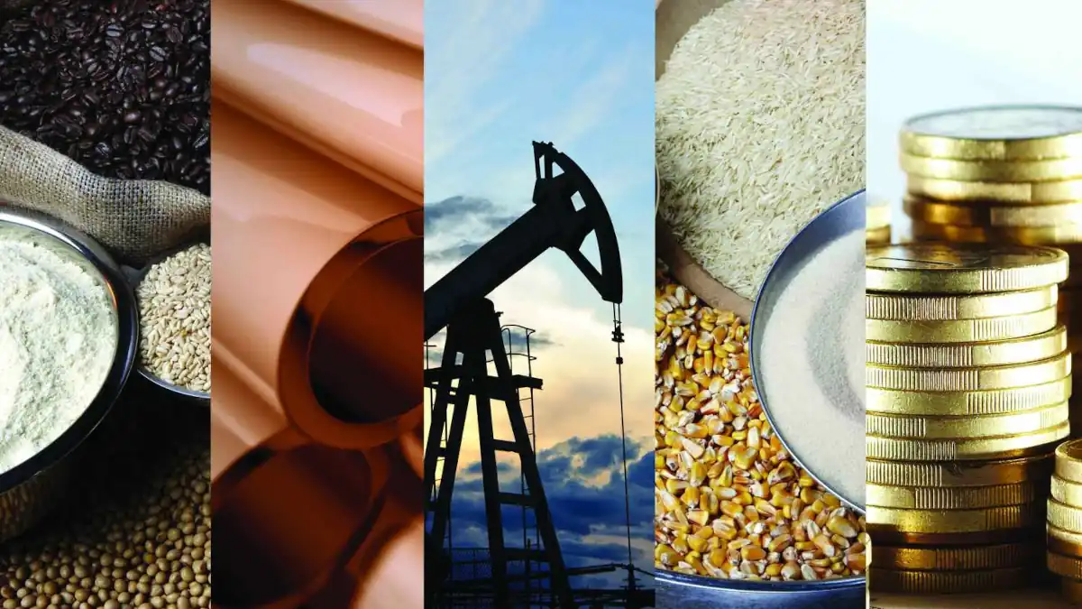 O que é uma Commodity? Tudo o que precisa de saber!