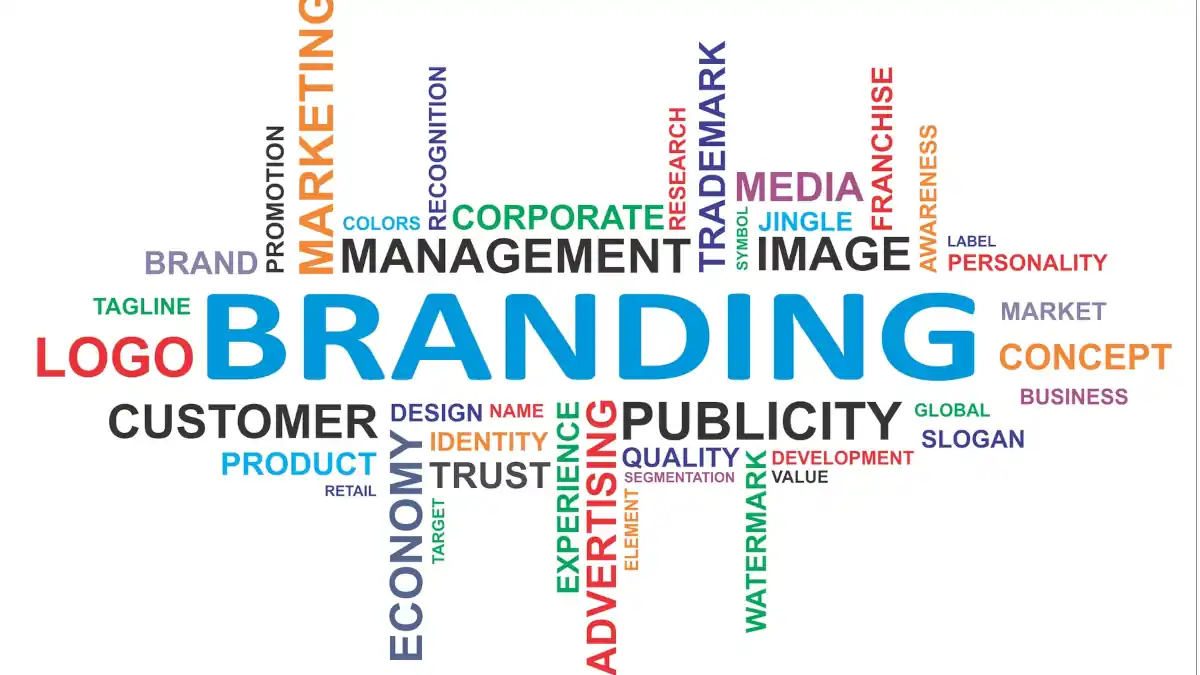 Branding: A arte de criar e gerir uma marca de sucesso